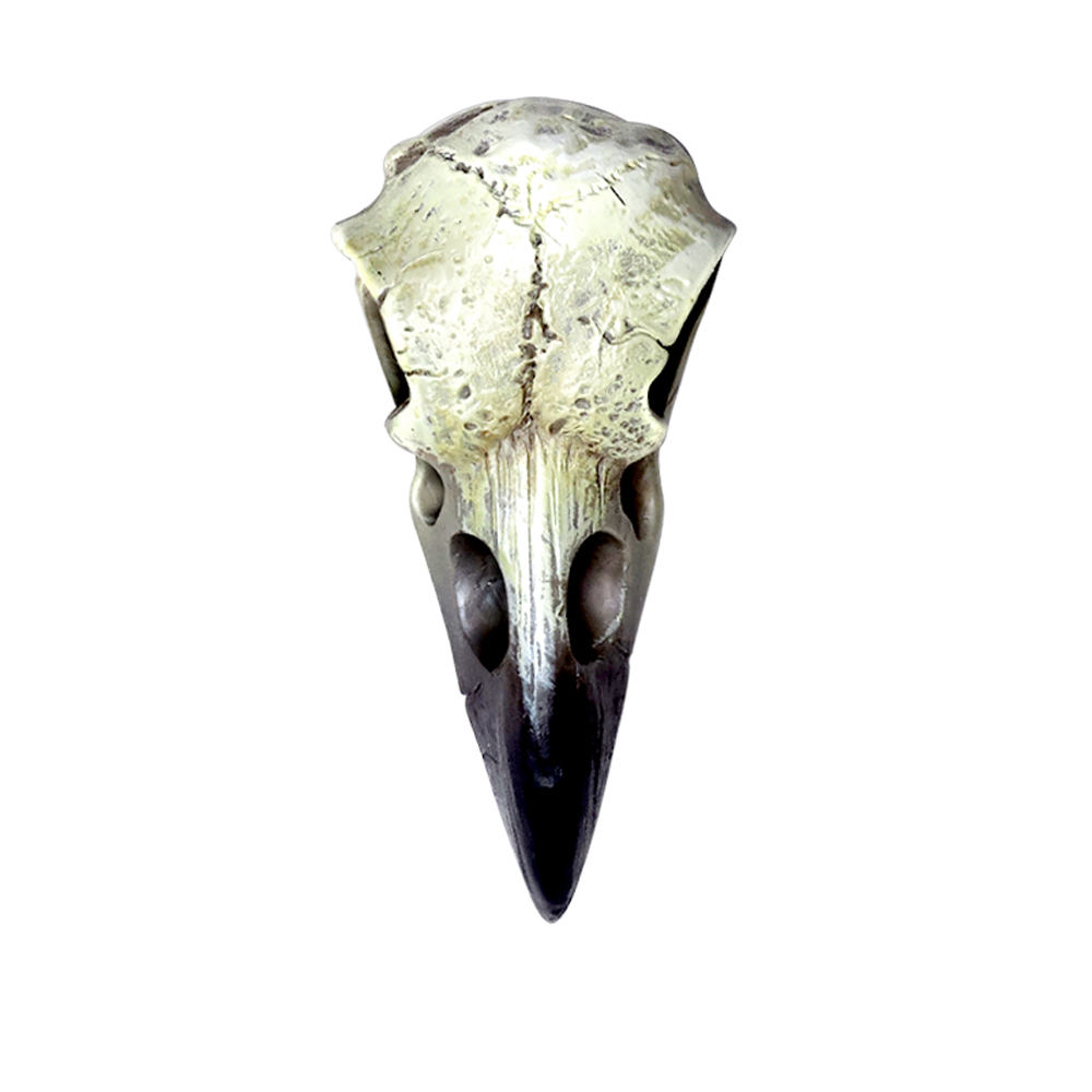 Alchemy - Reliquary Raven Skull Figurine - Cream